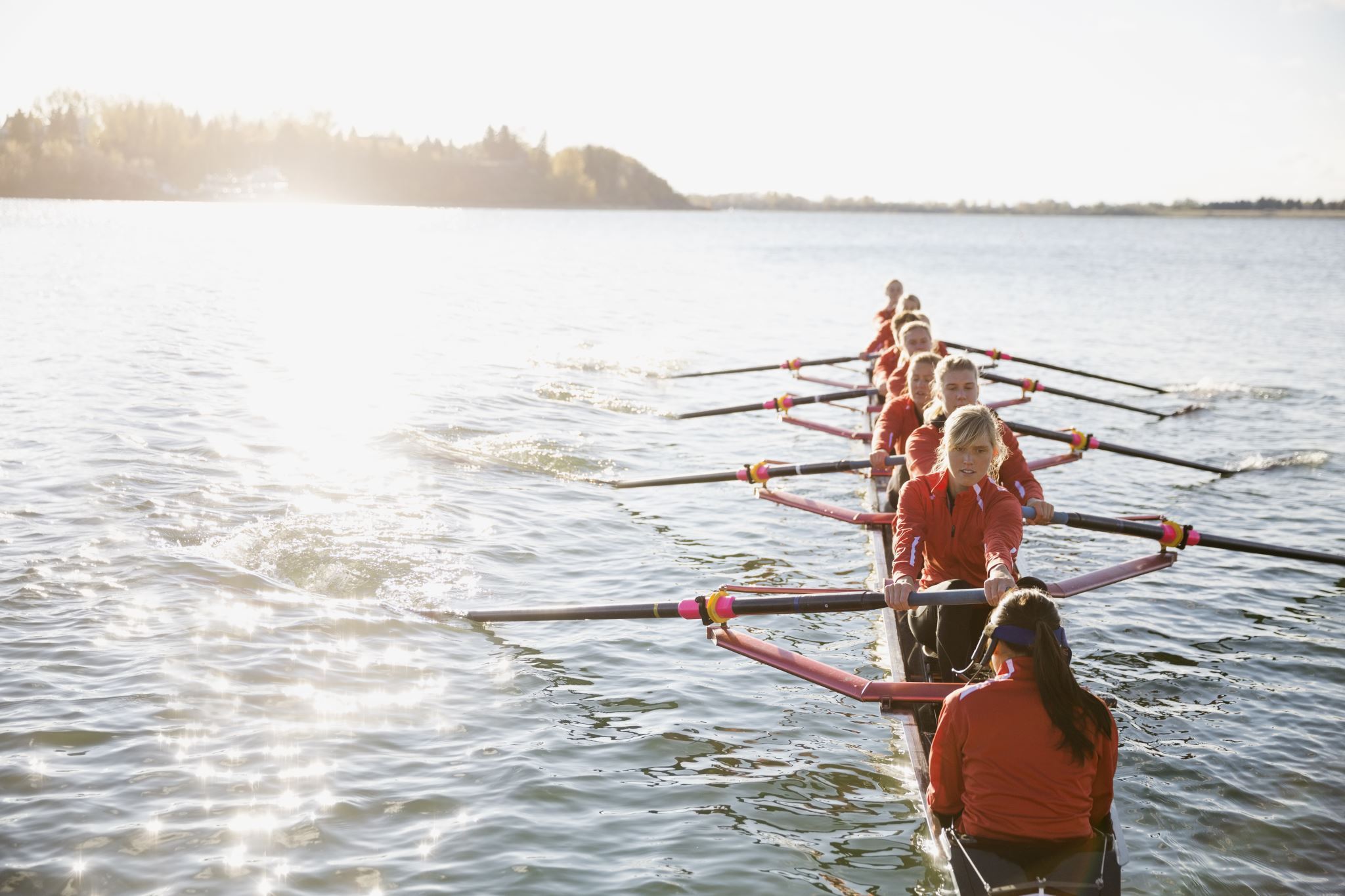 Rowing-team-on-sunny-river